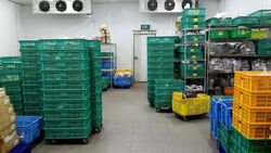 Ka Foodlink (D13), Factory #604209361